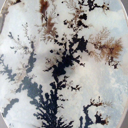 Exceptional All Natural! Fine Quality Dendritic Agate India