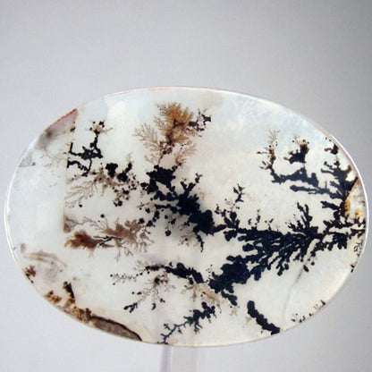 Exceptional All Natural! Fine Quality Dendritic Agate India