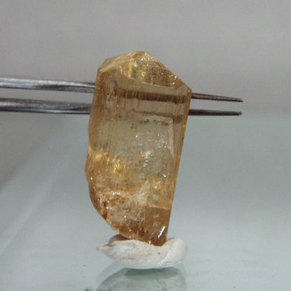Collectors! Facet Grade Golden Scapolite Crystal Tanzania