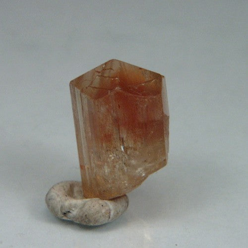 Collectors Quality! Rare Color Scapolite Crystal Tanzania