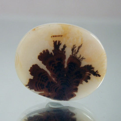 Rare Gem Grade Natural Dendritic Agate India
