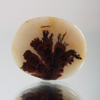 Rare Gem Grade Natural Dendritic Agate India
