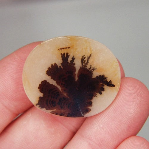 Rare Gem Grade Natural Dendritic Agate India