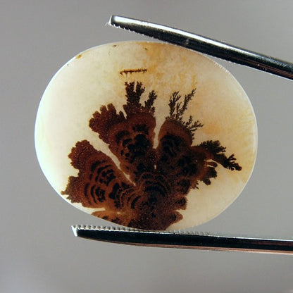 Rare Gem Grade Natural Dendritic Agate India