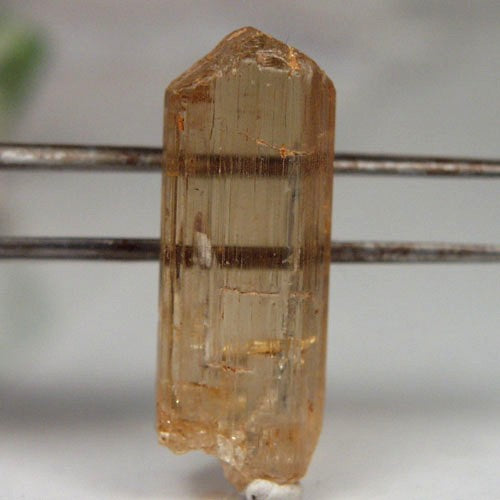 Collectors! Facet Grade Golden Scapolite Crystal Tanzania