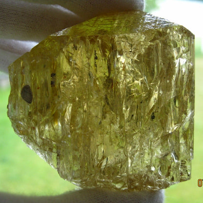 Rare Golden Scapolite Specimen Grade Crystal 575ct Tanzania
