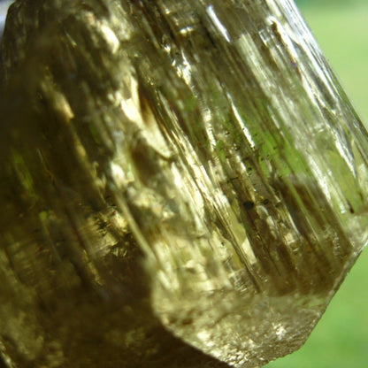 Rare Golden Scapolite Specimen Grade Crystal 575ct Tanzania