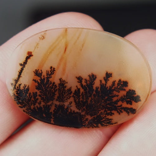 Gem! One Of A Kind Scenic Dendritic Agate Gem Stone