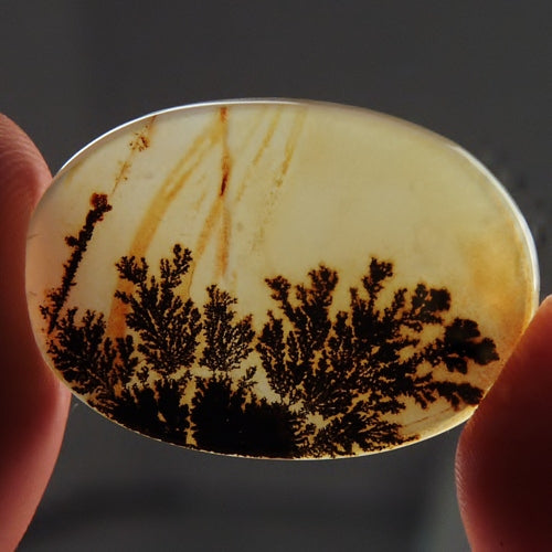 Gem! One Of A Kind Scenic Dendritic Agate Gem Stone