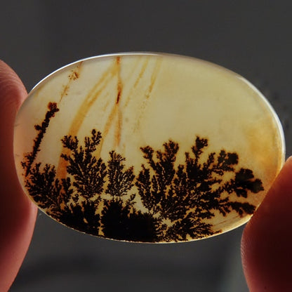 Gem! One Of A Kind Scenic Dendritic Agate Gem Stone