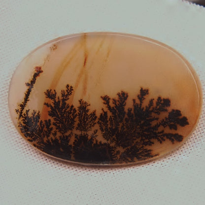Gem! One Of A Kind Scenic Dendritic Agate Gem Stone