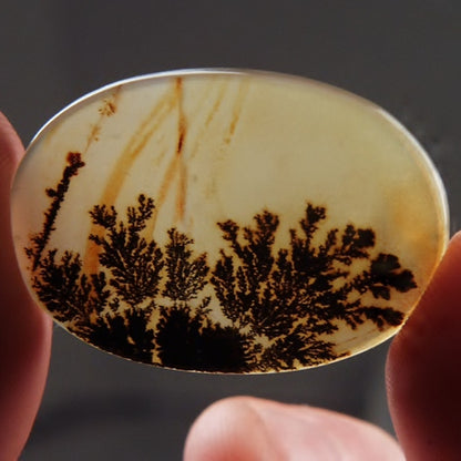 Gem! One Of A Kind Scenic Dendritic Agate Gem Stone