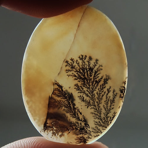 All Natural! Fine Quality Dendritic Agate India