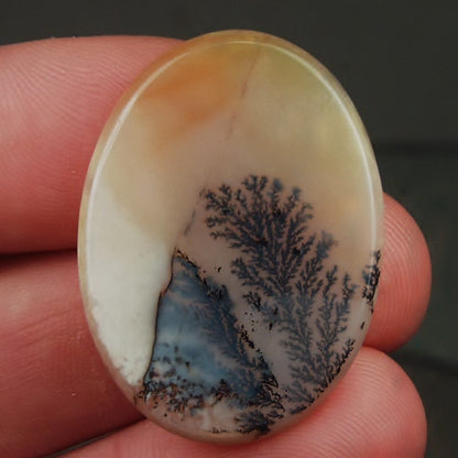 All Natural! Fine Quality Dendritic Agate India
