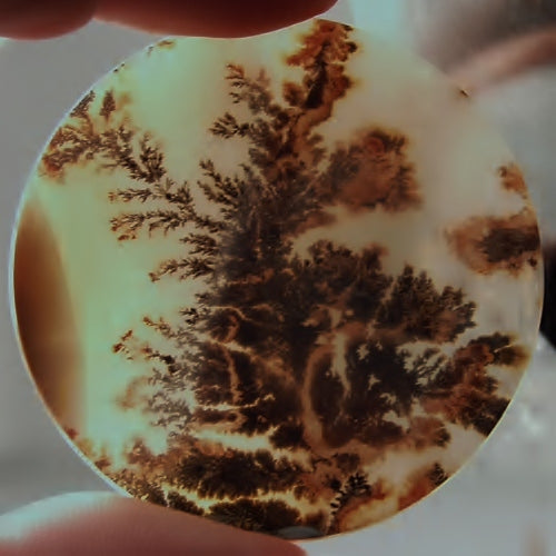 Big & Rare! Fine Quality Scenic Dendritic Agate India