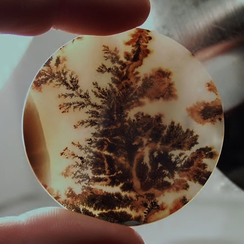 Big & Rare! Fine Quality Scenic Dendritic Agate India