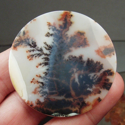 Big & Rare! Fine Quality Scenic Dendritic Agate India