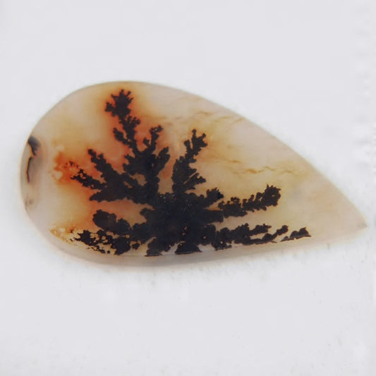 All Natural! Fine Quality Dendritic Agate India