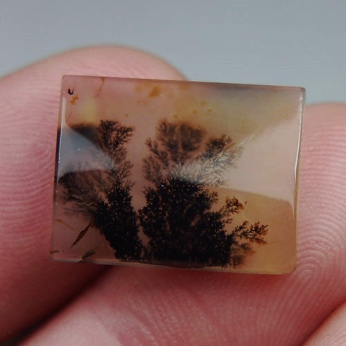 Rare & Fine Quality! Scenic Dendritic Agate India