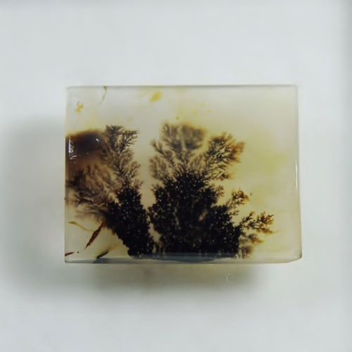 Rare & Fine Quality! Scenic Dendritic Agate India