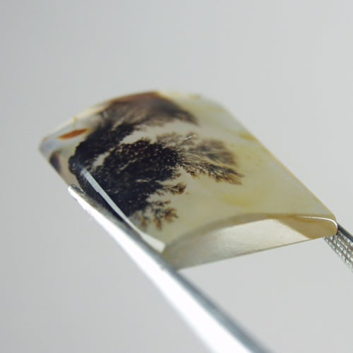 Rare & Fine Quality! Scenic Dendritic Agate India