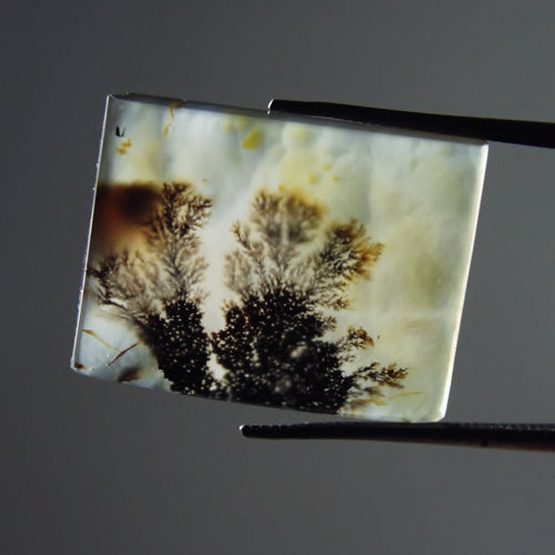 Rare & Fine Quality! Scenic Dendritic Agate India