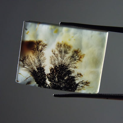 Rare & Fine Quality! Scenic Dendritic Agate India