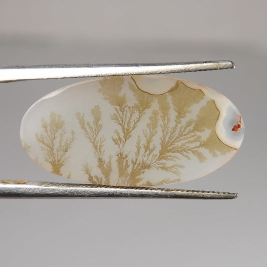 All Natural! Fine Quality Dendritic Agate India