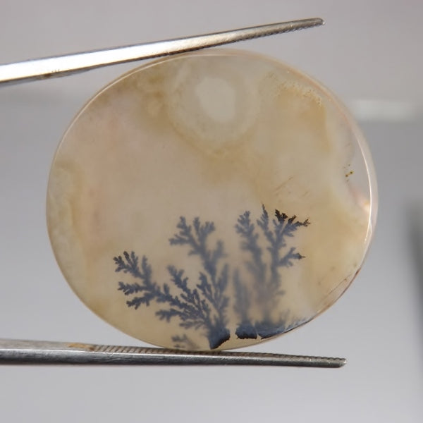 Fine Quality Scenic Oval Fern Dendritic Agate India