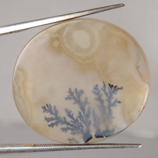Fine Quality Scenic Oval Fern Dendritic Agate India