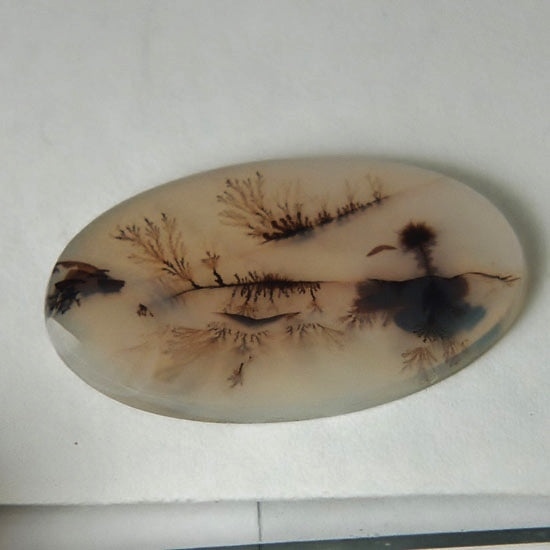 Fine Quality! Scenic Dendritic Agate India