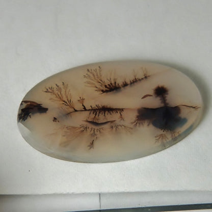 Fine Quality! Scenic Dendritic Agate India