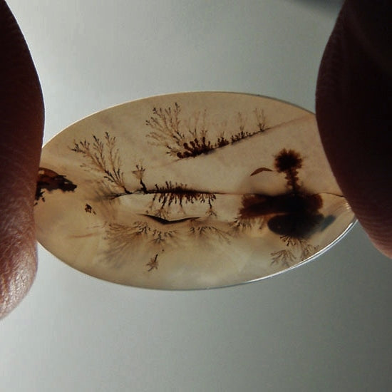 Fine Quality! Scenic Dendritic Agate India