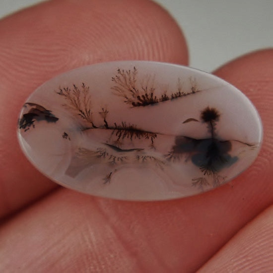 Fine Quality! Scenic Dendritic Agate India
