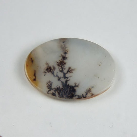 Rare and Fine Quality! Scenic Dendritic Agate India