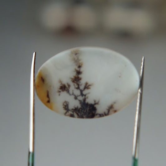 Rare and Fine Quality! Scenic Dendritic Agate India