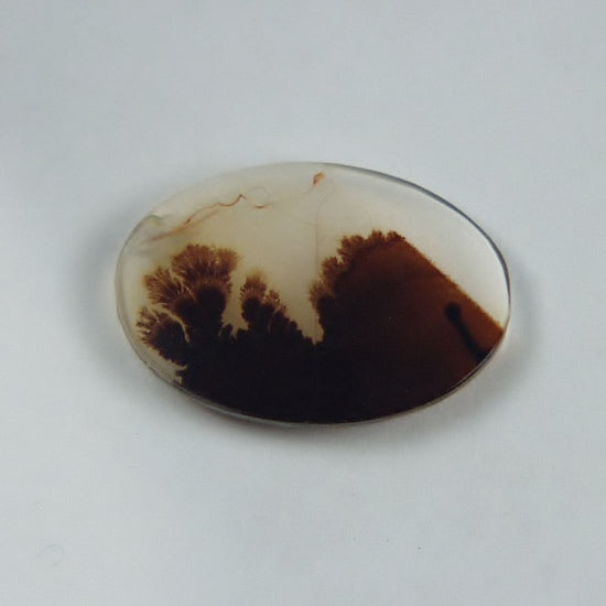 Rare and Fine Quality! Scenic Dendritic Agate India