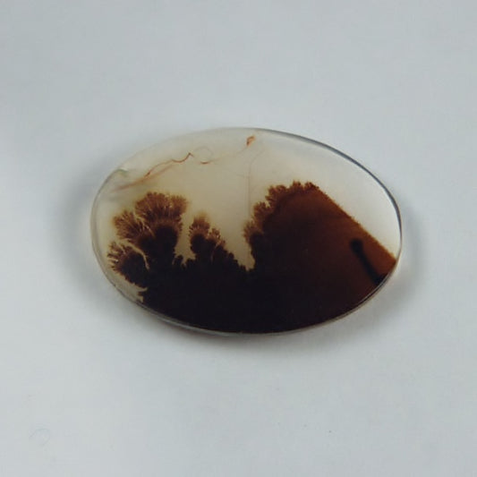 Rare and Fine Quality! Scenic Dendritic Agate India