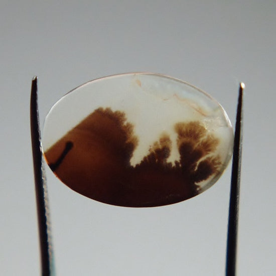 Rare and Fine Quality! Scenic Dendritic Agate India