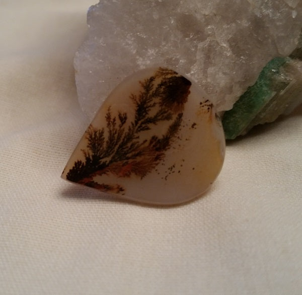 All Natural! Fine Quality Dendritic Agate India