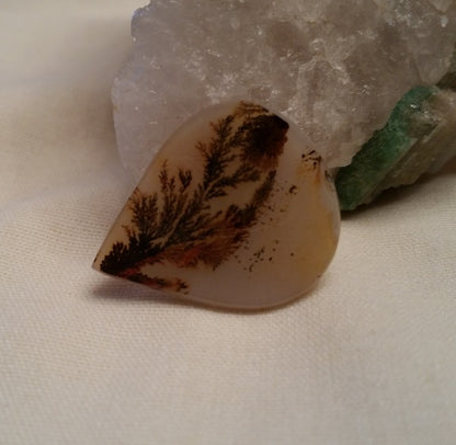 All Natural! Fine Quality Dendritic Agate India