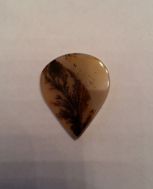 All Natural! Fine Quality Dendritic Agate India