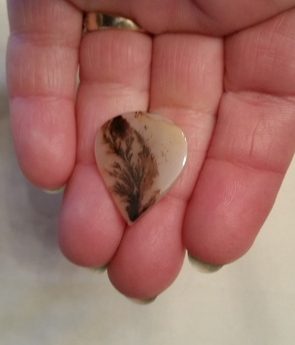 All Natural! Fine Quality Dendritic Agate India