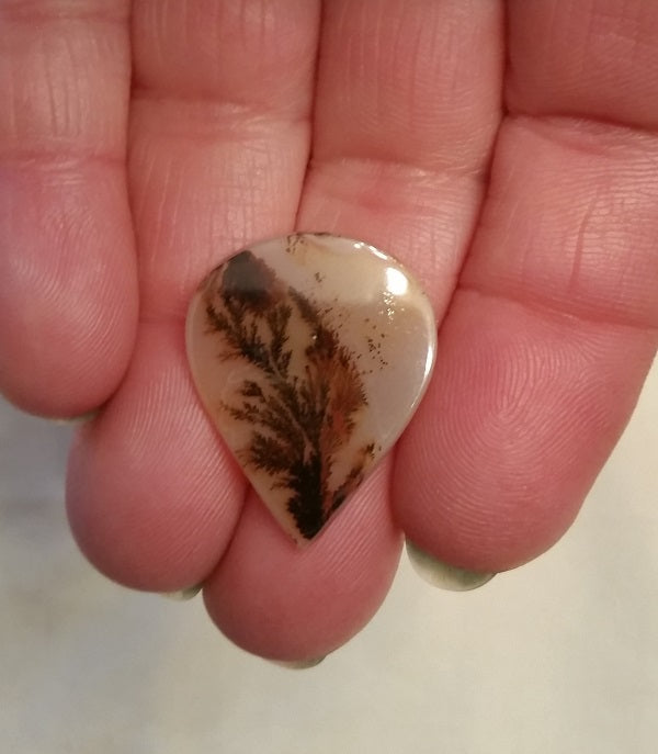 All Natural! Fine Quality Dendritic Agate India