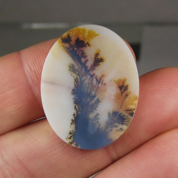 Big & Rare!  Fine Quality Scenic Dendritic Agate India