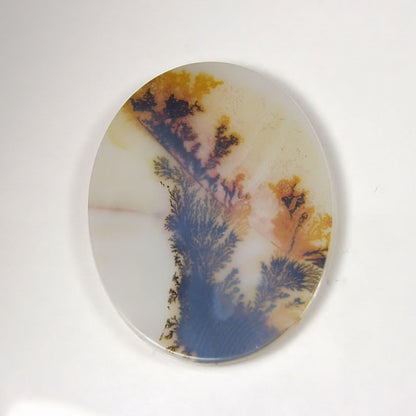 Big & Rare!  Fine Quality Scenic Dendritic Agate India