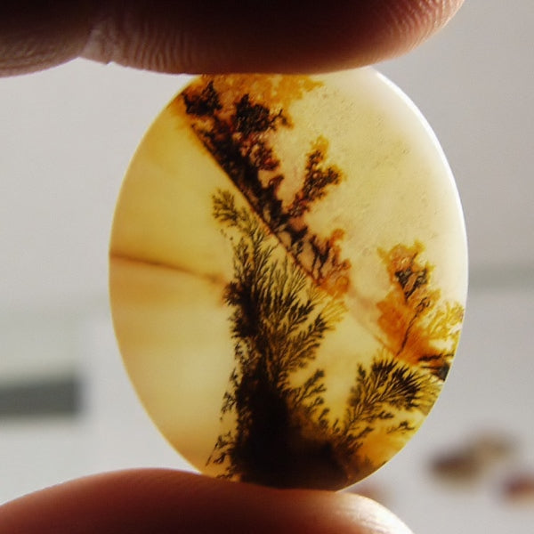 Big & Rare!  Fine Quality Scenic Dendritic Agate India