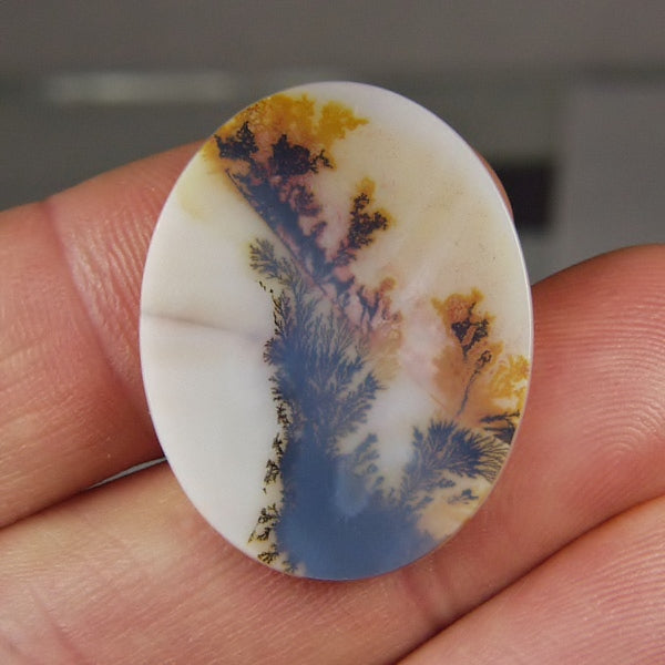 Big & Rare!  Fine Quality Scenic Dendritic Agate India