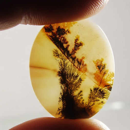 Big & Rare!  Fine Quality Scenic Dendritic Agate India