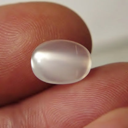 Cat’s Eye White Moonstone — 3.45 ct | Sri Lanka